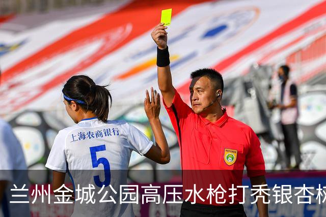 兰州金城公园高压水枪打秃银杏树，环卫公司负责人致歉：深刻检讨，两名涉事员工已停职