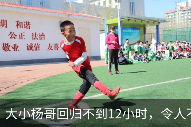 大小杨哥回归不到12小时，令人不悦的一幕出现，曾志伟已逆风翻盘