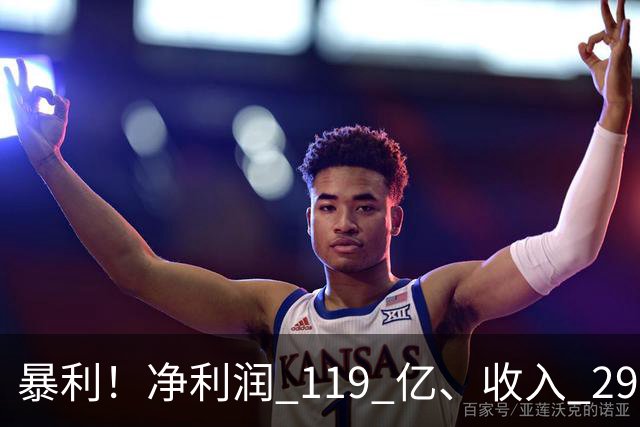暴利！净利润 119 亿、收入 292 亿