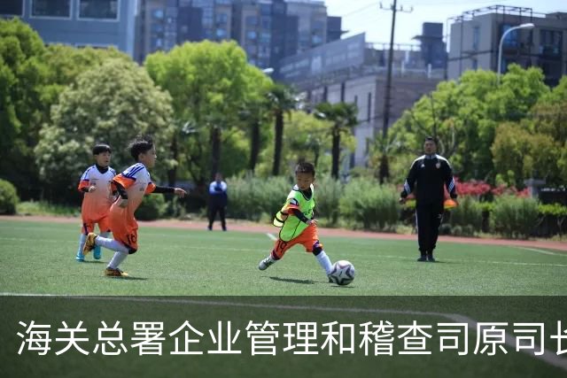 海关总署企业管理和稽查司原司长王胜被开除党籍