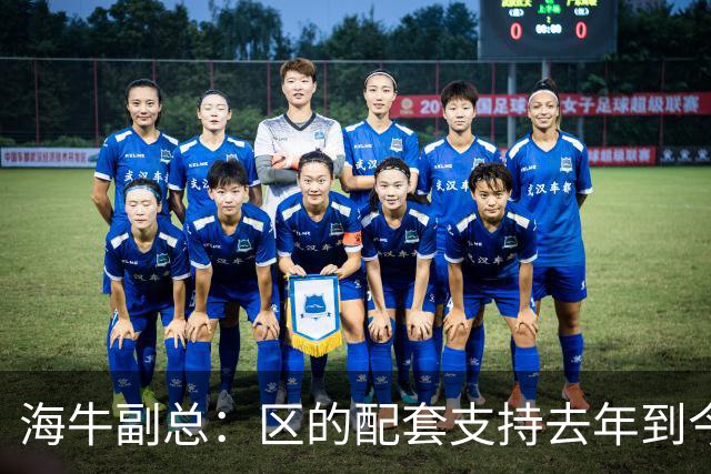 海牛副总：区的配套支持去年到今年都没落实，资金缺口4000万