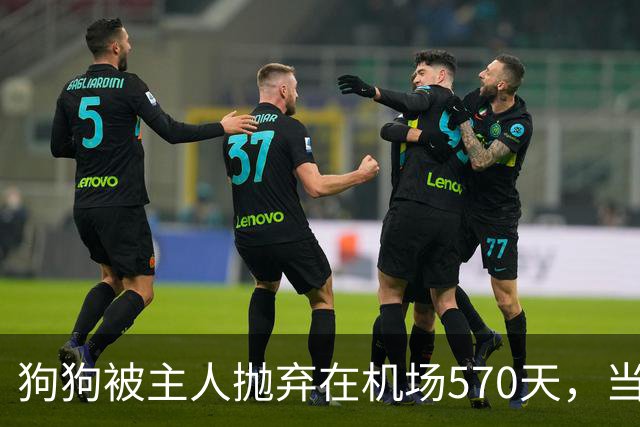 狗狗被主人抛弃在机场570天，当主人回来接它时，看哭了所有人